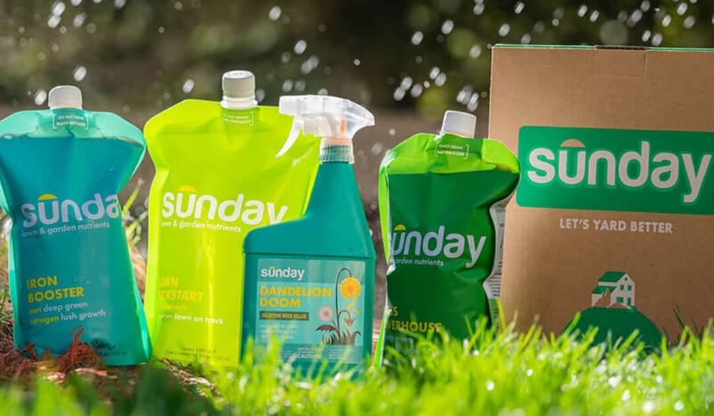 5 ways Sunday is better for your lawn and the planet.